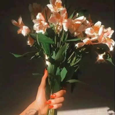 永久吸引人的微信头像(精选16张)