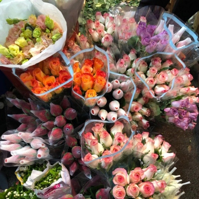 让人焕然一新的头像(精选16张)