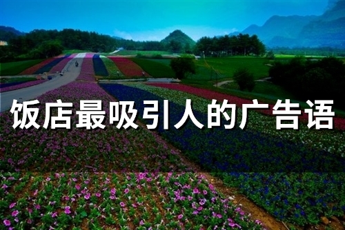 饭店最吸引人的广告语(52句) 饭店最吸引人的广告语(52句)