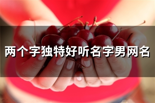 两个字独特好听名字男网名(精选46个)