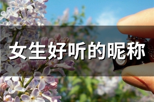 女生好听的昵称(精选78个)