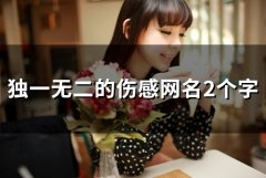 独一无二的伤感网名2个字(48个)