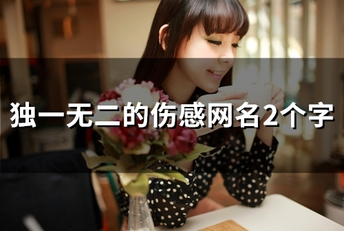 独一无二的伤感网名2个字(48个)