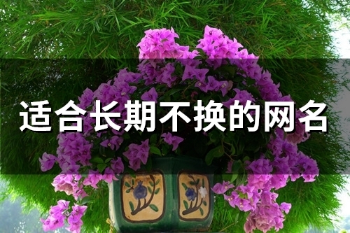 适合长期不换的网名(59个)