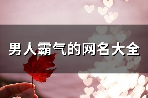男人霸气的网名大全(51个) 男人霸气的网名大全(51个)