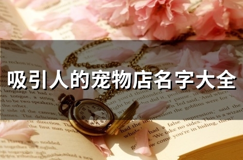 吸引人的宠物店名字大全(44个)
