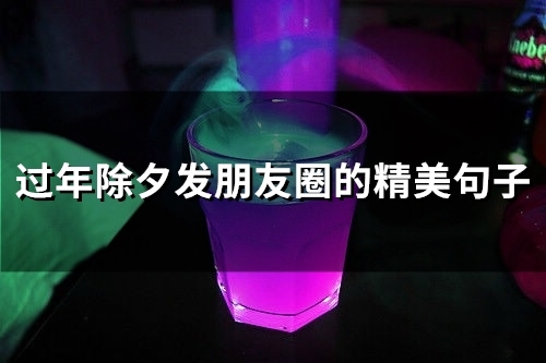 过年除夕发朋友圈的精美句子(31句) 过年除夕发朋友圈的精美句子(31句)