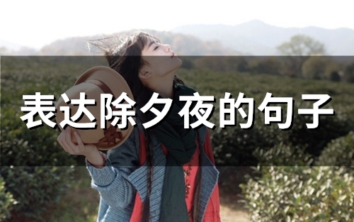 表达除夕夜的句子(60句)