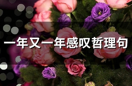 一年又一年感叹哲理句(精选50句)