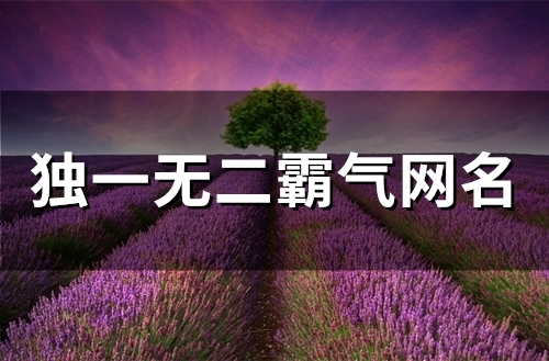 独一无二霸气网名(60个)