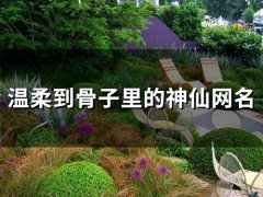温柔到骨子里的神仙网名(57个)