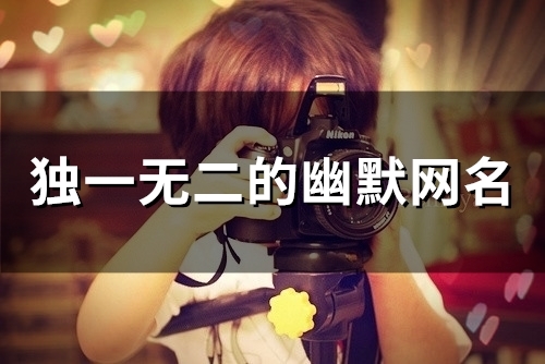 独一无二的幽默网名(精选52个)