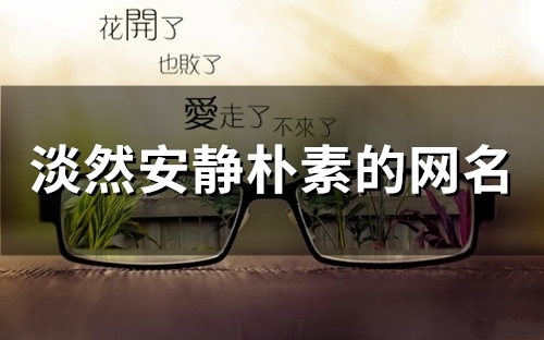 淡然安静朴素的网名(55个)