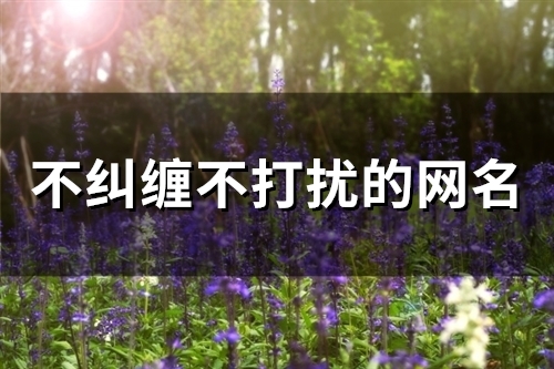 不纠缠不打扰的网名(精选55个) 不纠缠不打扰的网名(精选55个)