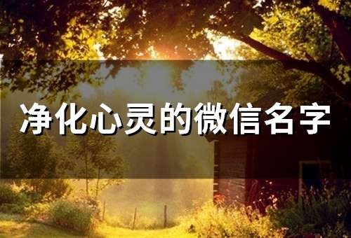 净化心灵的微信名字(精选52个)