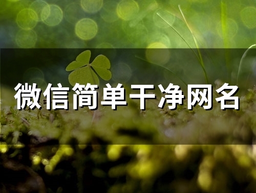 微信简单干净网名(49个)