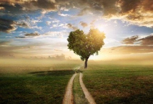 值得用一辈子的网名(46个)