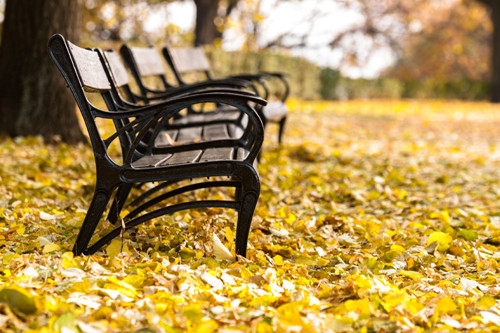 好听又霸气的微信名字(精选56个)