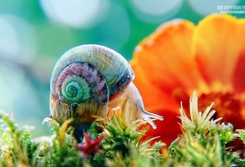 特别撩人的昵称(精选60个)