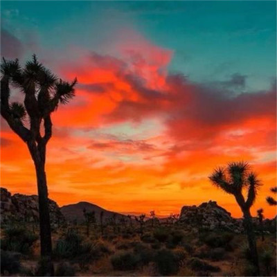 值得一辈子不换的头像2023(38张)