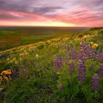 头像2023最火自然风景(45张)