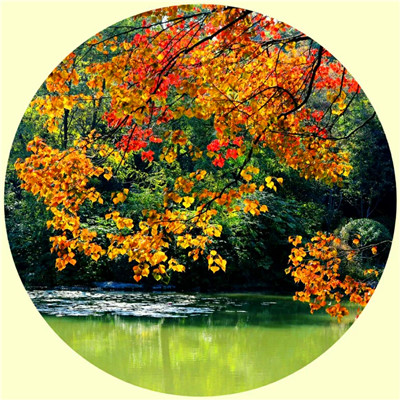 头像2023最火自然风景(45张)