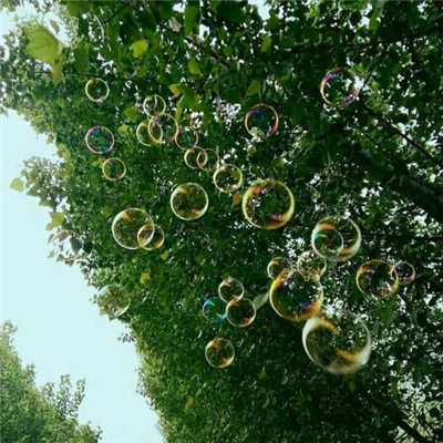 头像2023最火自然风景(45张)