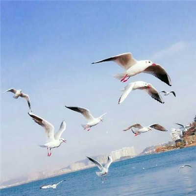 头像2023最火自然风景(45张)