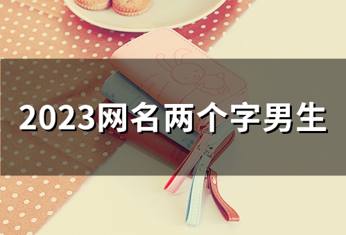 2023网名两个字男生(48个) 2023网名两个字男生(48个)