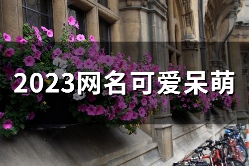 2023网名可爱呆萌(精选54个)