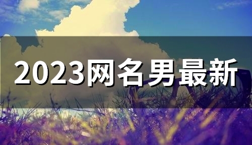 2023网名男最新(精选49个)