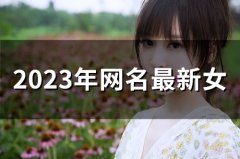 2023年网名最新女(精选45个)