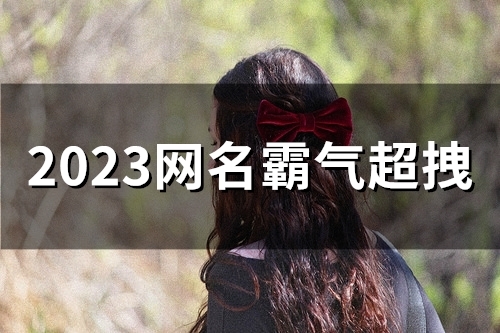 2023网名霸气超拽(50个)