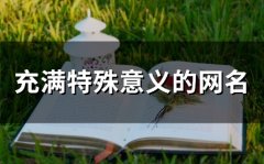 充满特殊意义的网名(80个)