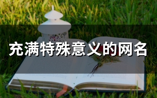 充满特殊意义的网名(80个)