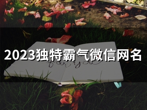 2023独特霸气微信网名(88个)