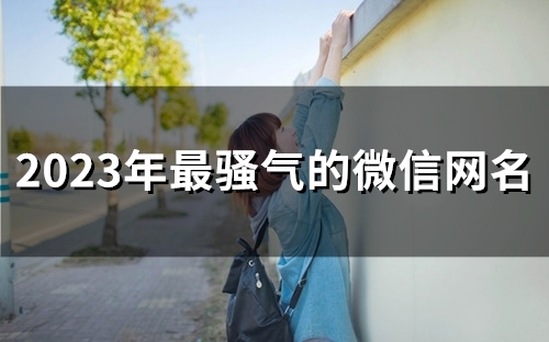 2023年最骚气的微信网名(精选297个)