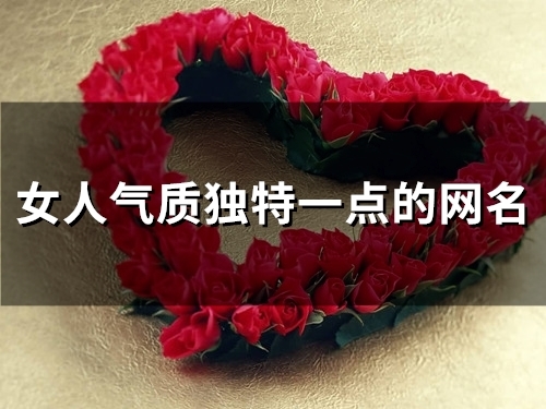 女人气质独特一点的网名(622个)