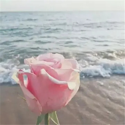 2023最火好看头像微信(50张)