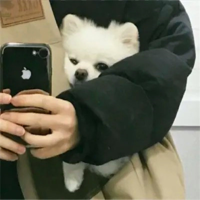 头像2023最火可爱动物(34张)