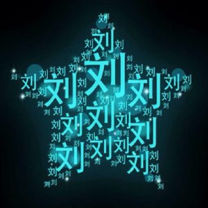 头像带刘图片2023最火爆(40张)