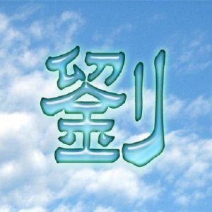 头像带刘图片2023最火爆(40张)