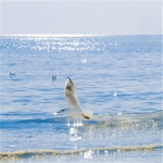 2023最火微信头像干净(51张)