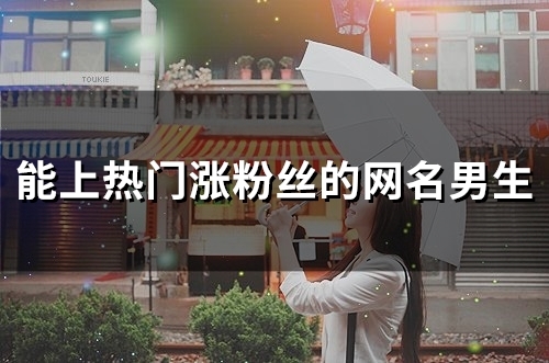 能上热门涨粉丝的网名男生(精选89个)