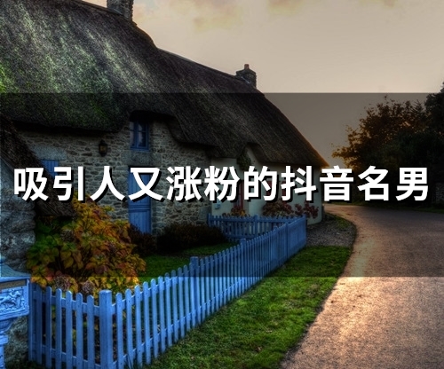 吸引人又涨粉的抖音名男(129个)