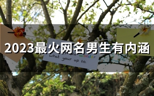 2023最火网名男生有内涵(161个)