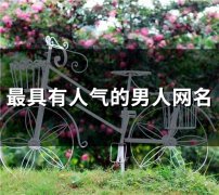 最具有人气的男人网名(190个)