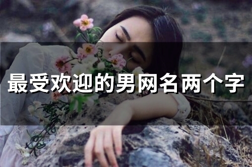 最受欢迎的男网名两个字(精选304个)
