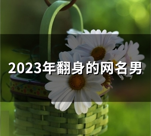 2023年翻身的网名男(350个)