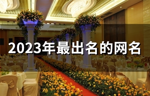 2023年最出名的网名(269个)